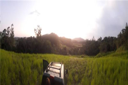 small-photo
